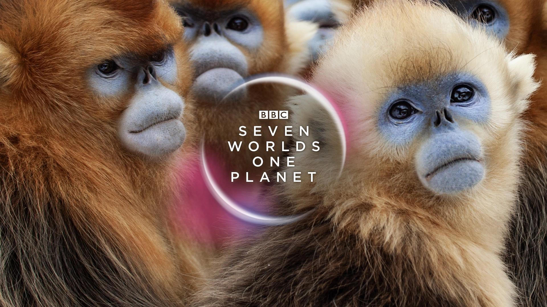 BBC Seven Worlds One Planet